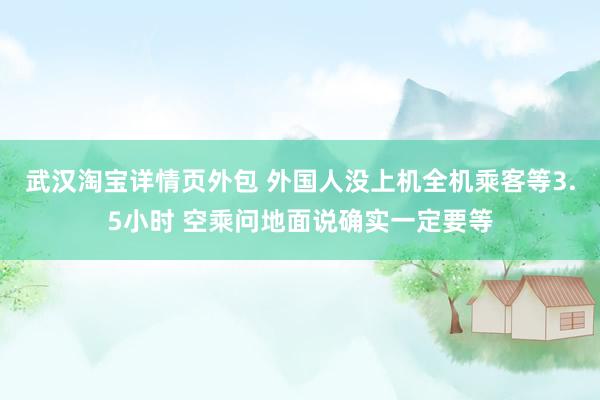 武汉淘宝详情页外包 外国人没上机全机乘客等3.5小时 空乘问地面说确实一定要等