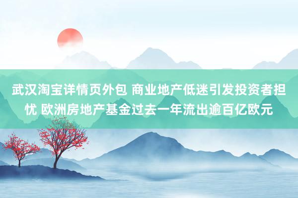 武汉淘宝详情页外包 商业地产低迷引发投资者担忧 欧洲房地产基金过去一年流出逾百亿欧元