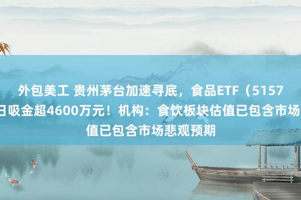 外包美工 贵州茅台加速寻底，食品ETF（515710）10日吸金超4600万元！机构：食饮板块估值已包含市场悲观预期