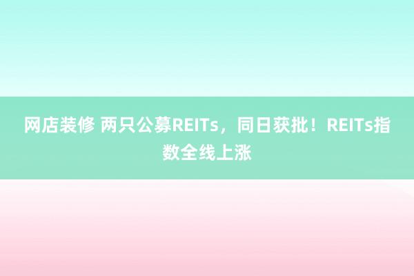 网店装修 两只公募REITs，同日获批！REITs指数全线上涨